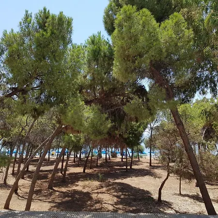 Dasoudi Beach * לימסול