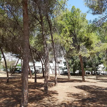 Dasoudi Beach