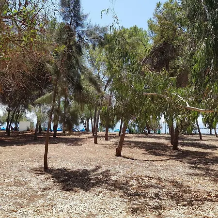 Dasoudi Beach Limassol