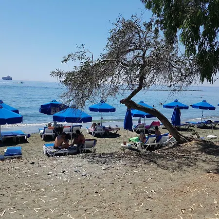 Apartment Dasoudi Beach *